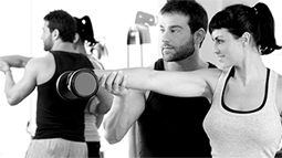 快速检索文件的cc攻击免费网页版